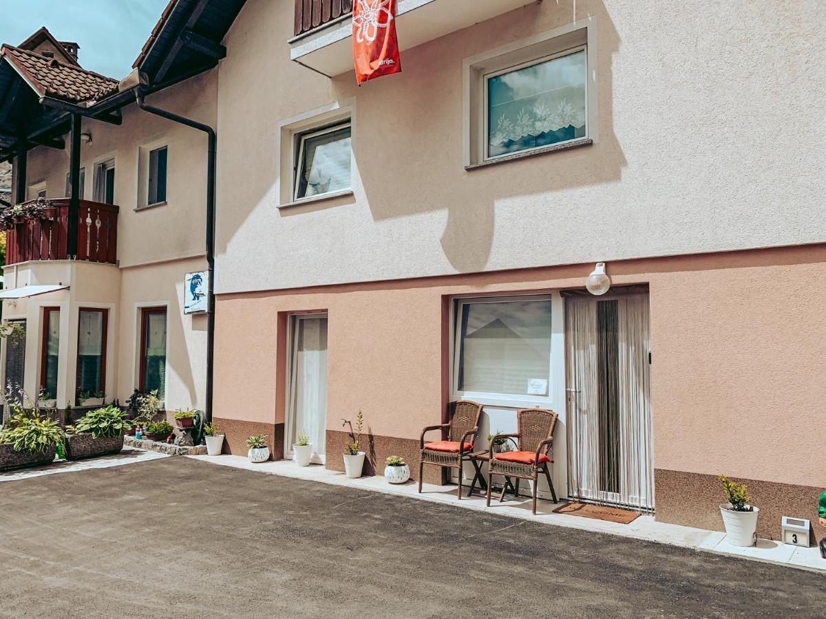 Apartments Ivanovic Idrija Exterior photo